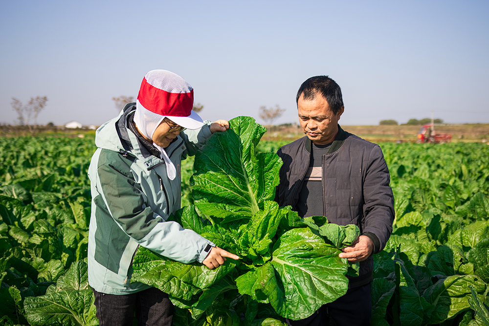 湖南國泰食品有限公司