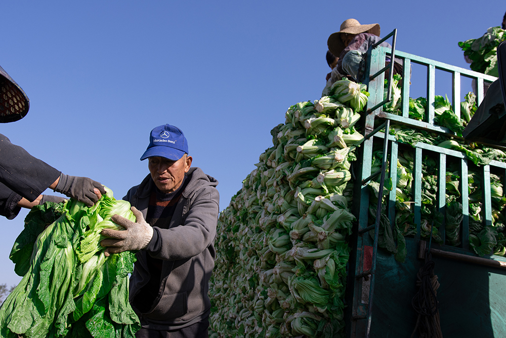 湖南國泰食品有限公司