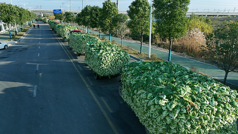 湖南國(guó)泰食品有限公司